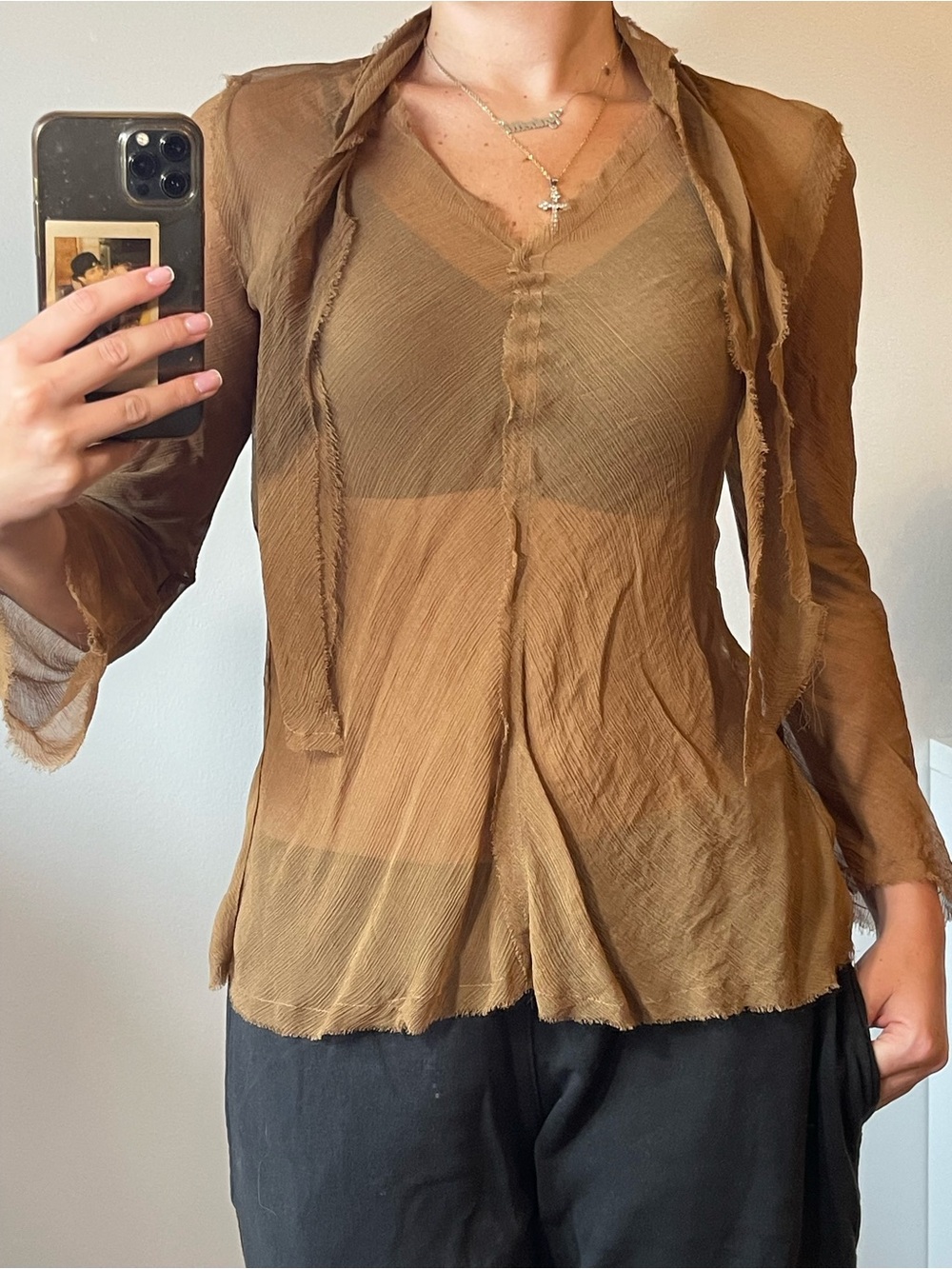 Zara Brown Sheer V-Neck Long Sleeve Blouse
